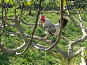 photo coins arrondis